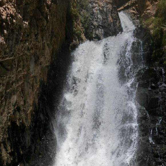 Meet your Posher, Terry - Picture 1 of 1